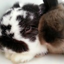 สมาชิกหมายเลข 853472