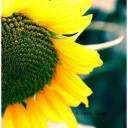 สมาชิกหมายเลข 853571