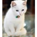 สมาชิกหมายเลข 853748