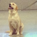 สมาชิกหมายเลข 1575057