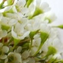 สมาชิกหมายเลข 827809