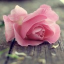 สมาชิกหมายเลข 2792661