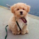 เจริญนคร60