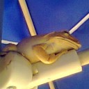 เห็นต่าง เพื่อ