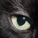 สมาชิกหมายเลข 837860