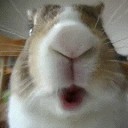 สมาชิกหมายเลข 2874663