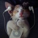 สมาชิกหมายเลข 854813