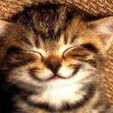 สมาชิกหมายเลข 855053