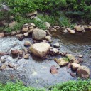 สมาชิกหมายเลข 855193