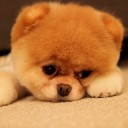 สาวออฟฟิสพระราม9