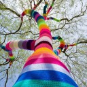 สมาชิกหมายเลข 1202934