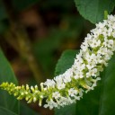 สมาชิกหมายเลข 2203426