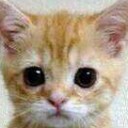 สมาชิกหมายเลข 3273317