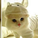 สมาชิกหมายเลข 855327