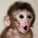 สมาชิกหมายเลข 2033199