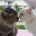 โลกนี้ไม่มีอะไรเที่ยงแท้