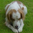 ลุงหนวด & ต้นอ้อ