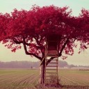 สมาชิกหมายเลข 1641314