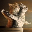 สมาชิกหมายเลข 2490501