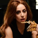 สมาชิกหมายเลข 1254349