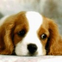 สมาชิกหมายเลข 1678675