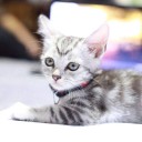 สองหนึ่งหนึ่งศูนย์