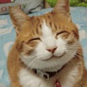 สมาชิกหมายเลข 2491188