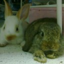 สมาชิกหมายเลข 851786