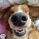 สมาชิกหมายเลข 856507