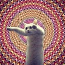 สมาชิกหมายเลข 2491306