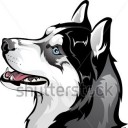 สมาชิกหมายเลข 2491403