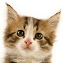 สมาชิกหมายเลข 850264