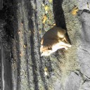 สมาชิกหมายเลข 856858