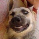 สมาชิกหมายเลข 857095