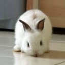 สมาชิกหมายเลข 1254794