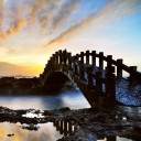 สมาชิกหมายเลข 1434079