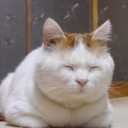 สมาชิกหมายเลข 792095