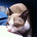 สมาชิกหมายเลข 857198