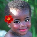 สมาชิกหมายเลข 1133911