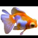 สมาชิกหมายเลข 1678318