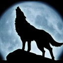 สมาชิกหมายเลข 718137