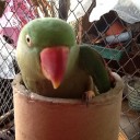 สมาชิกหมายเลข 892954