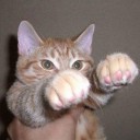 สมาชิกหมายเลข 1670008