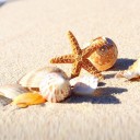 สมาชิกหมายเลข 1680196