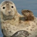 สมาชิกหมายเลข 2492941