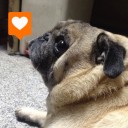 ลุงหนวดหัวฟูกับยัยป้าหัวหยิก