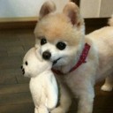 สมาชิกหมายเลข 2894109