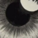 สมาชิกหมายเลข 3332354