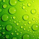 สมาชิกหมายเลข 2101558