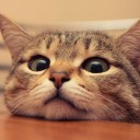 สมาชิกหมายเลข 2894419